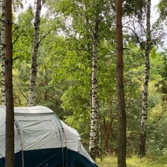 База отдыха и туризма Пансион в дубраве, Волгоградская область