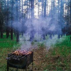 База отдыха Костёр, Рязанская область