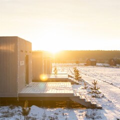 Кемпинг  Дикая Мята, Тульская область