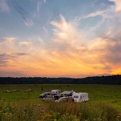 Кемпинг  Дикая Мята, Тульская область