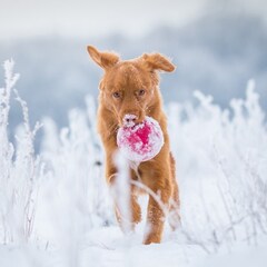 Кемпинг  Дикая Мята, Тульская область