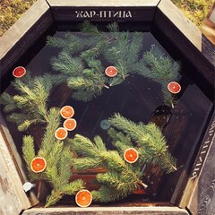 Кемпинг  Дикая Мята, Тульская область