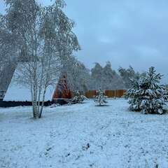 Глэмпинг Лисичкин холм, Московская область