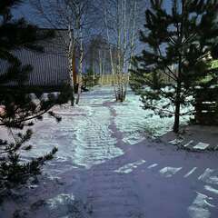 Глэмпинг Лисичкин холм, Московская область