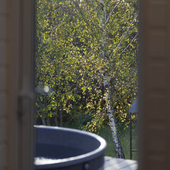 Глэмпинг Лисичкин холм, Московская область