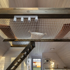 Глэмпинг Лисичкин холм, Московская область