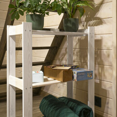 Глэмпинг Лисичкин холм, Московская область