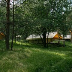 Глэмпинг Ганинская ферма, Ленинградская область