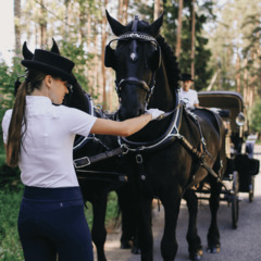Глэмпинг Ганинская ферма, Ленинградская область