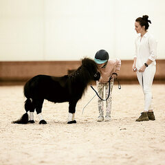 Глэмпинг Ганинская ферма, Ленинградская область