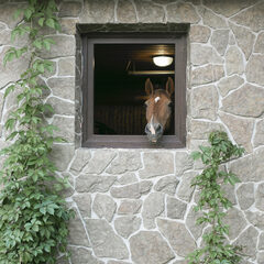 Глэмпинг Ганинская ферма, Ленинградская область