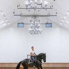 Глэмпинг Ганинская ферма, Ленинградская область