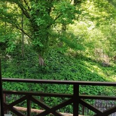 Гостевой дом Тута, Краснодарский край