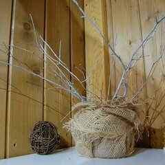 Клуб отдыха Action, Алексинский район, Тульская область