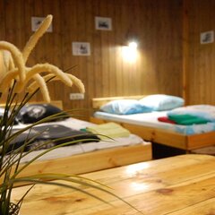 Клуб отдыха Action, Алексинский район, Тульская область