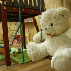 Клуб отдыха Action, Алексинский район, Тульская область