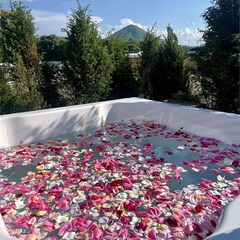 Загородный комплекс Кавказский целитель, Ставропольский край