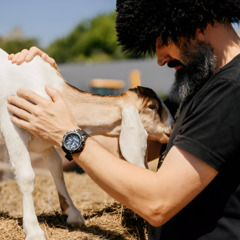 Загородный комплекс Кавказский целитель, Ставропольский край