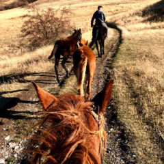 Загородный комплекс Кавказский целитель, Ставропольский край