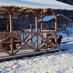 Гостевой двор Starspodvorie, Московская область