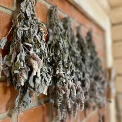 Гостевой двор Starspodvorie, Московская область