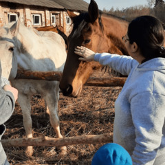 Гостевой двор Starspodvorie, Московская область