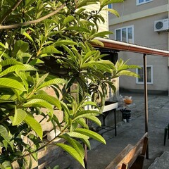 Гостевой дом Катюша, Краснодарский край