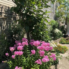 Гостевой дом Катюша, Краснодарский край