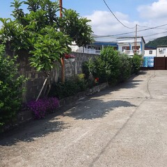 Гостевой дом Катюша, Краснодарский край