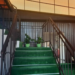 Гостевой дом Катюша, Краснодарский край