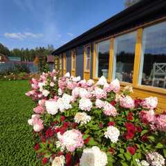 Глэмпинг MouseHouseNN, Нижегородская область