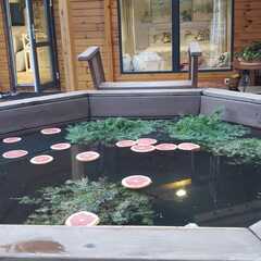 Глэмпинг MouseHouseNN, Нижегородская область