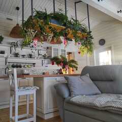 Глэмпинг MouseHouseNN, Нижегородская область