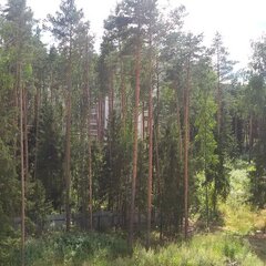 Загородный комплекс Яхонтовый лес, Московская область