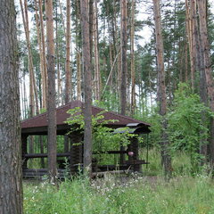 Загородный комплекс Яхонтовый лес, Московская область