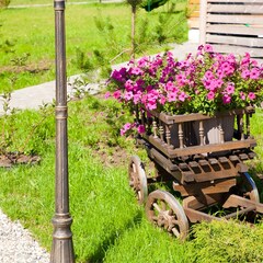 Эко-отель Мордасово, Владимирская область