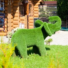 Эко-отель Мордасово, Владимирская область