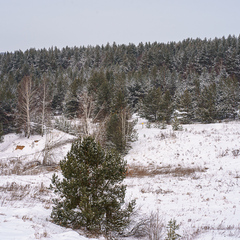 Коттеджный комплекс Wow Dacha, Нижегородская область