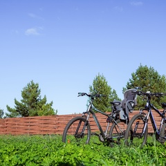 Глэмпинг Дубовая роща, Самарская область