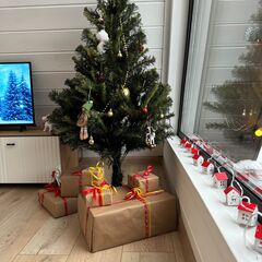 Глэмпинг Дубовая роща, Самарская область