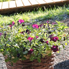 Глэмпинг Ладаглэмп, Свердловская область