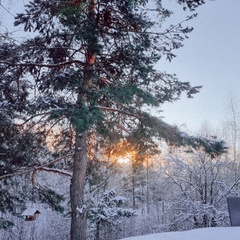 Гостевой дом Комфорт Хаус Арзамас, Нижегородская область