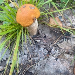 База отдыха Кеняки, Республика Карелия