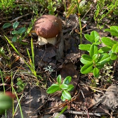 База отдыха Кеняки, Республика Карелия