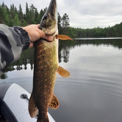 База отдыха Кеняки, Республика Карелия