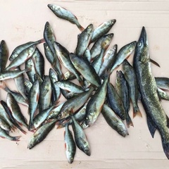 База отдыха Кеняки, Республика Карелия