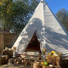 База отдыха Семейная мини-ферма Фазенда, Московская область