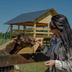 Эко-комплекс Мечта Сурсово, Тверская область