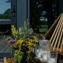 Эко-комплекс Мечта Сурсово, Тверская область