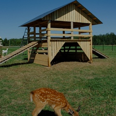 Эко-комплекс Мечта Сурсово, Тверская область